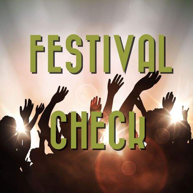 Festival Check Logo